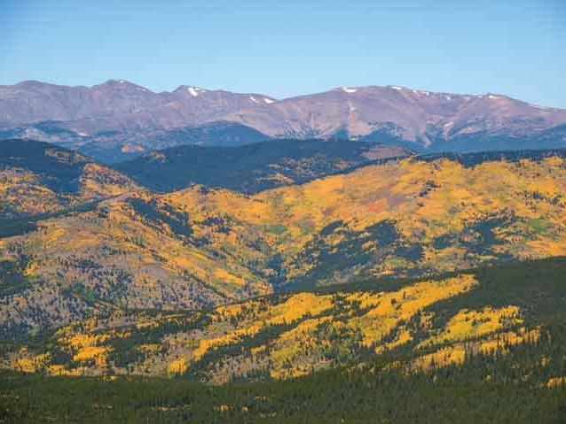 Colorado landscape with view of mounatins and yellow aspen trees in fall.